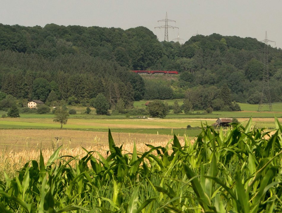 Sommermärchen I