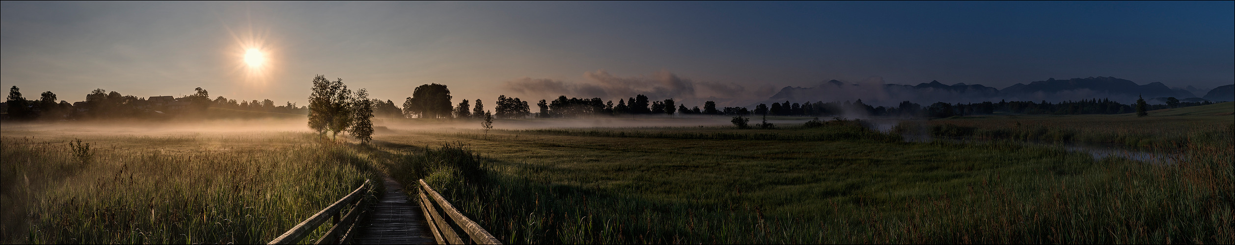 Sommermorgen...