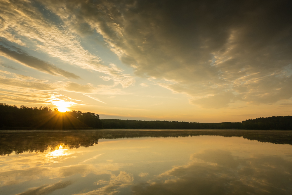 Sommermorgen