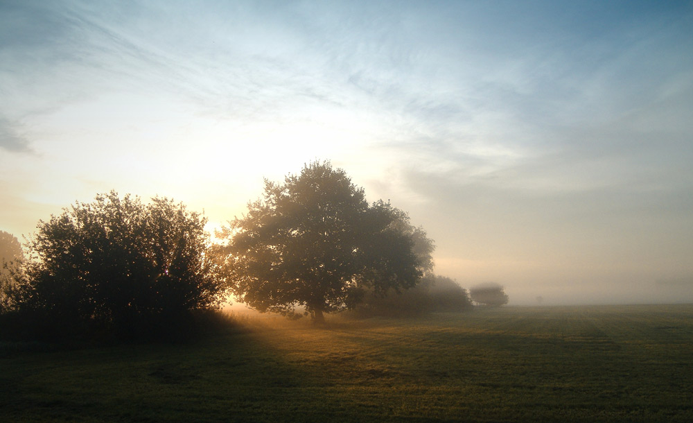 Sommermorgen von Hartmut Peuker