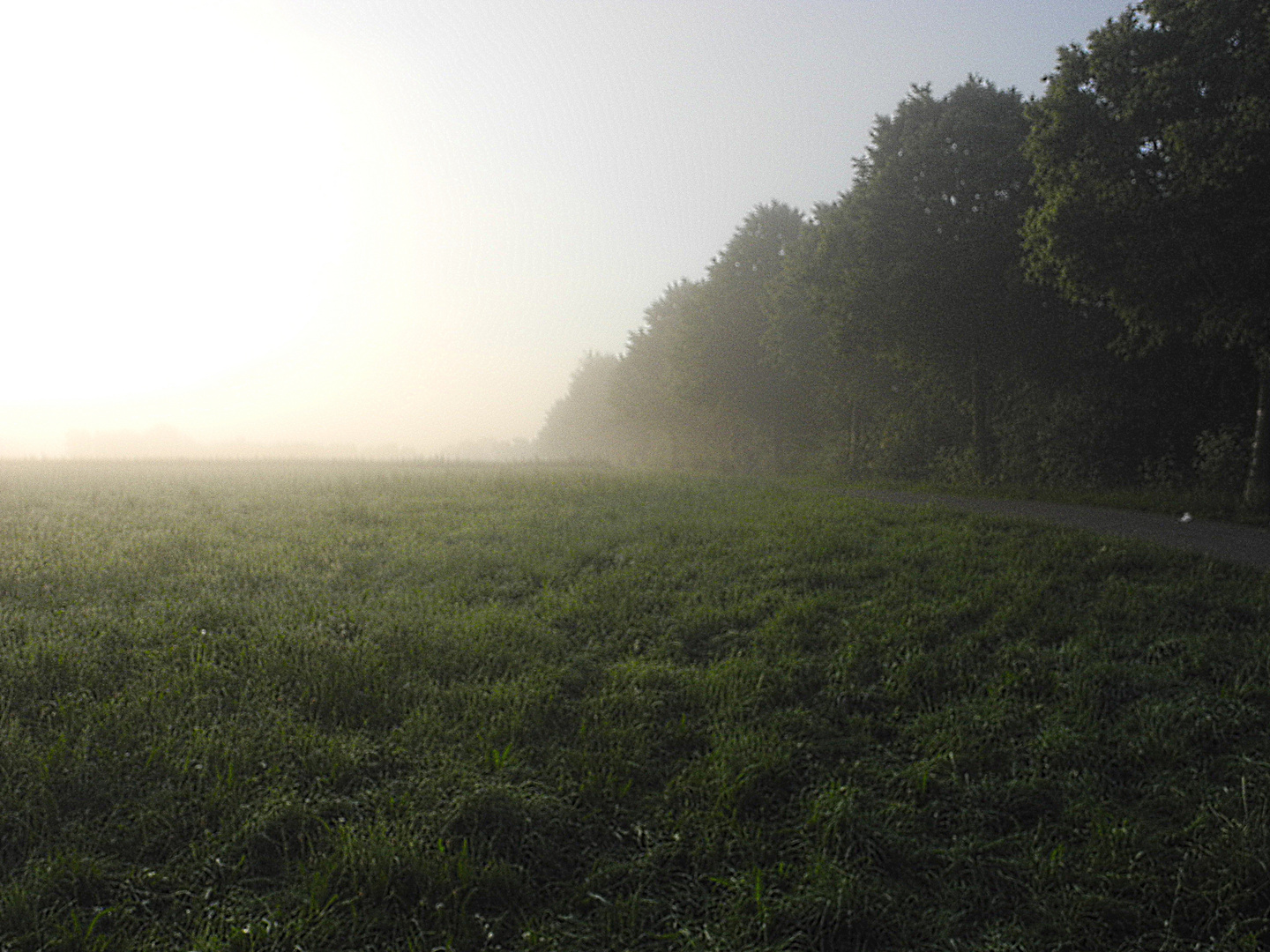 Sommermorgen