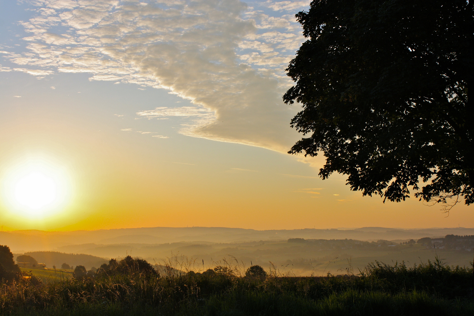 Sommermorgen