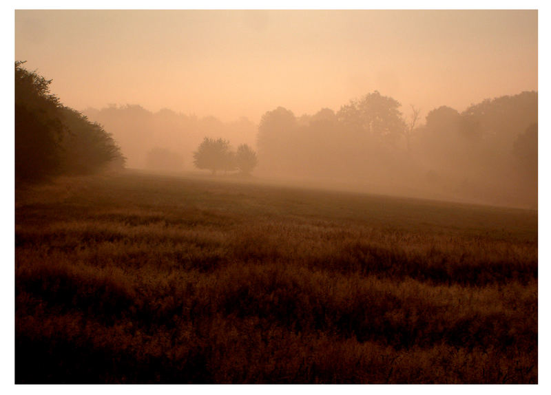 Sommermorgen