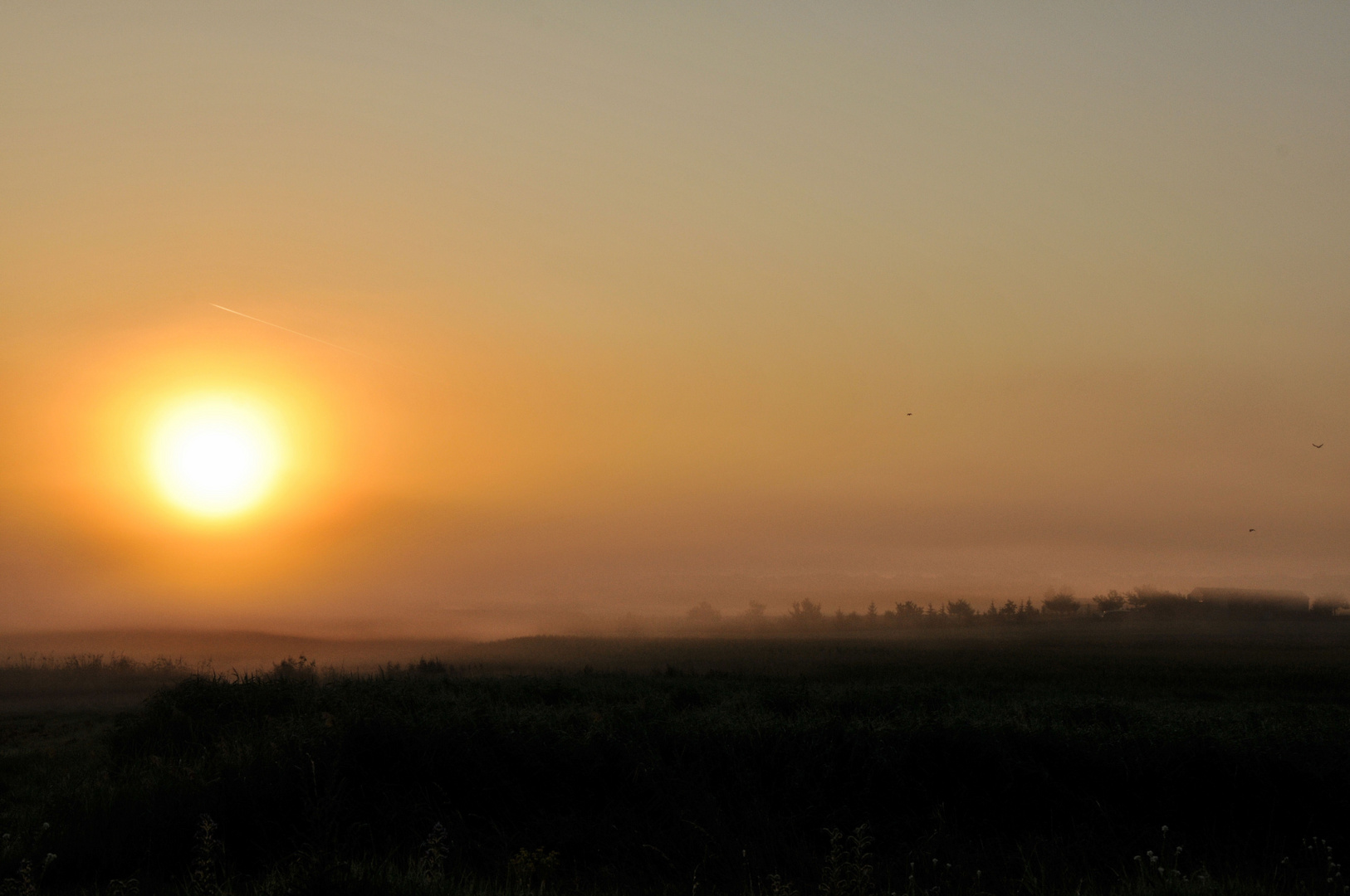 Sommermorgen