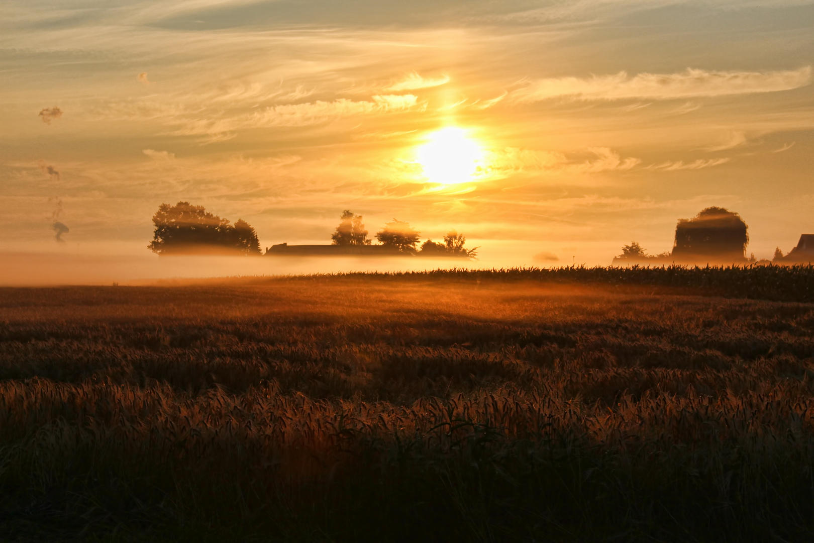 Sommermorgen