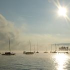 Sommermorgen am Ammersee