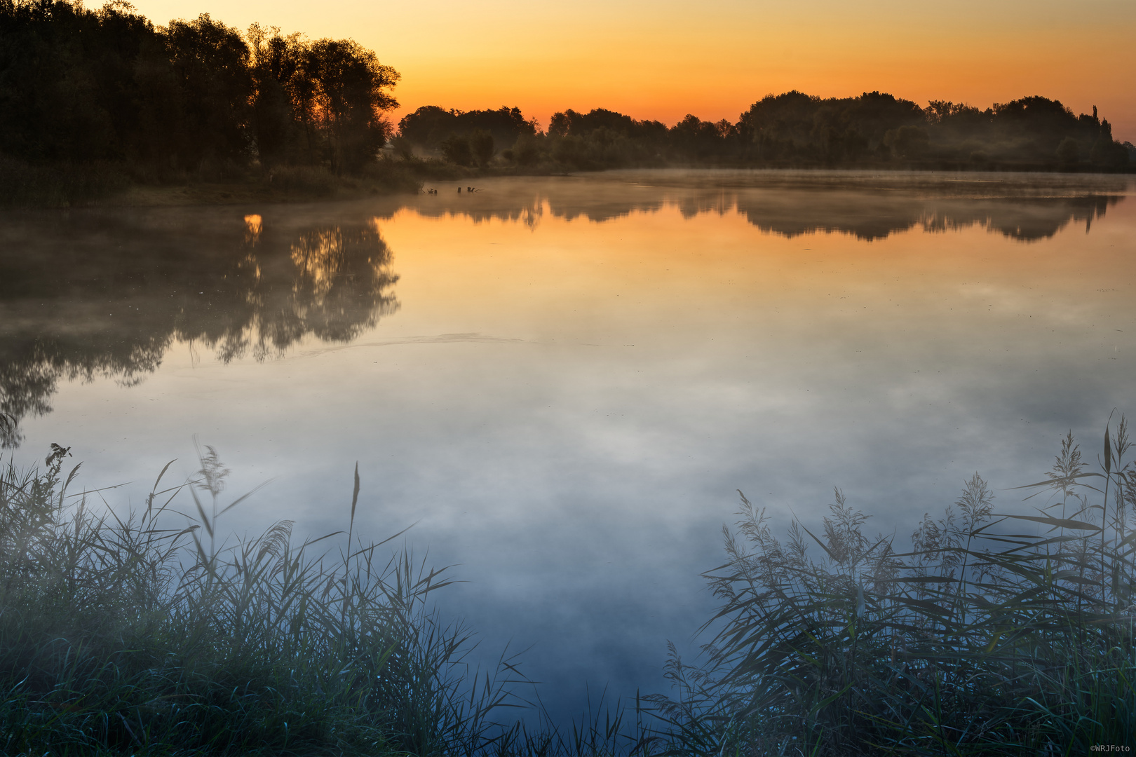 Sommermorgen am Angelsee