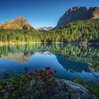 Sommermorgen am Bergsee