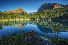 Sommermorgen am Bergsee