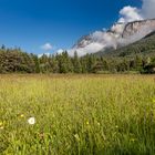 Sommermorgen am Dobratsch