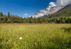 Sommermorgen am Dobratsch