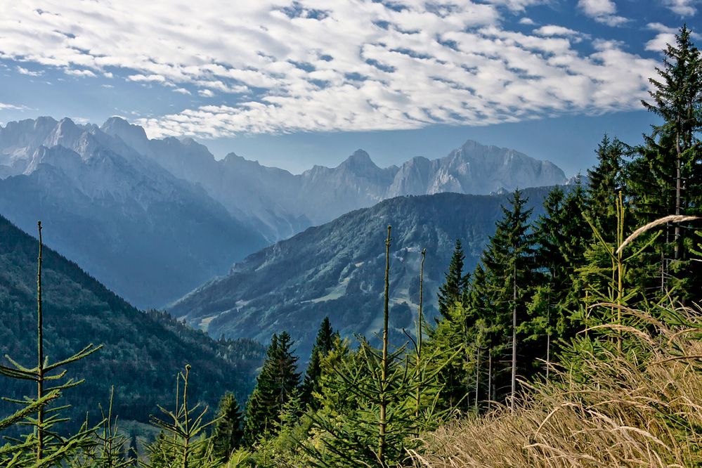 Sommermorgen am Dreiländereck