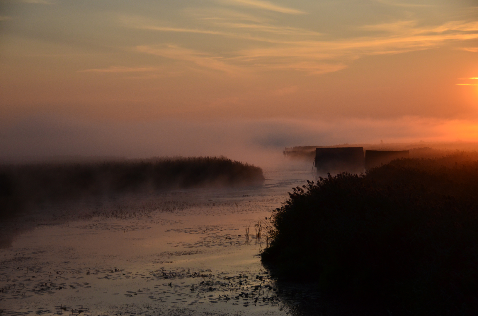 Sommermorgen am Federsee