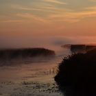 Sommermorgen am Federsee