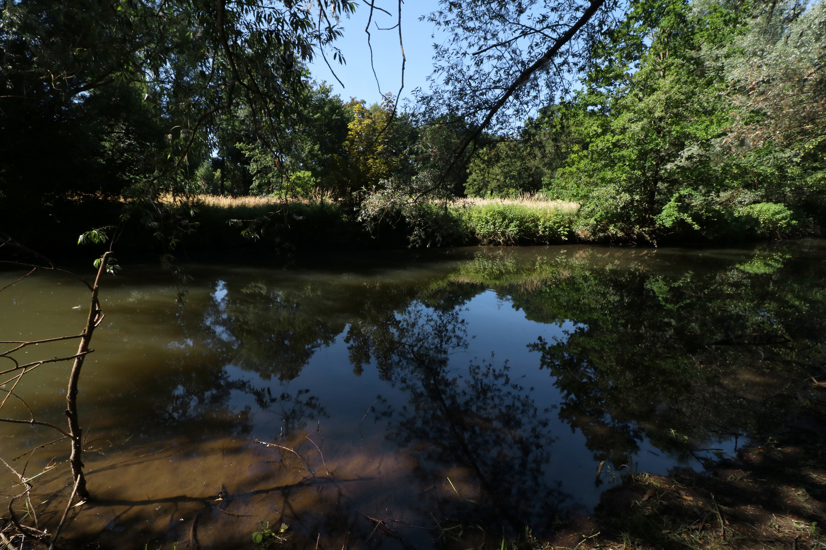 Sommermorgen am Fluss