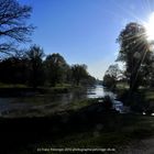 Sommermorgen am Fluss