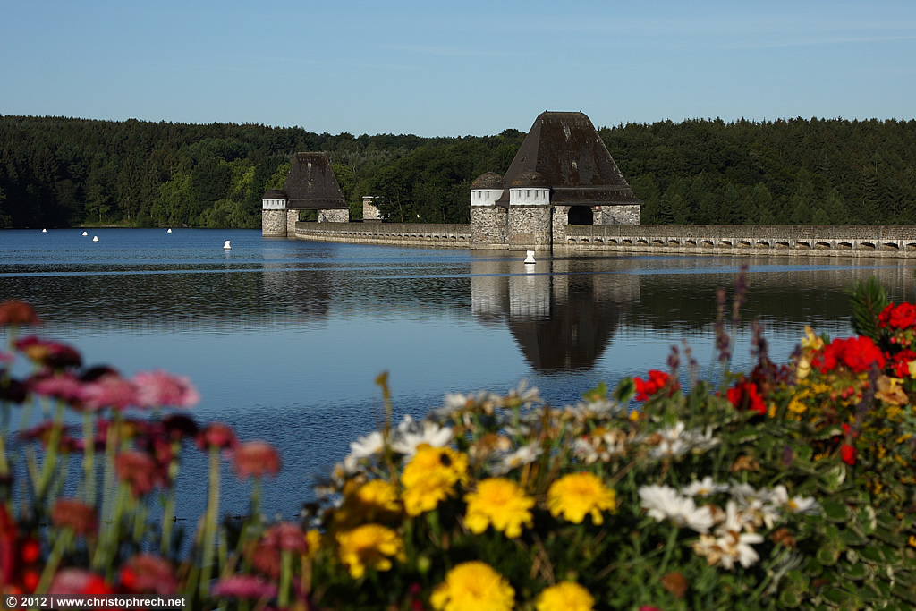 Sommermorgen am Möhnesee