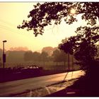 Sommermorgen am Niederrhein (Landschaft mit Automobil, 2)