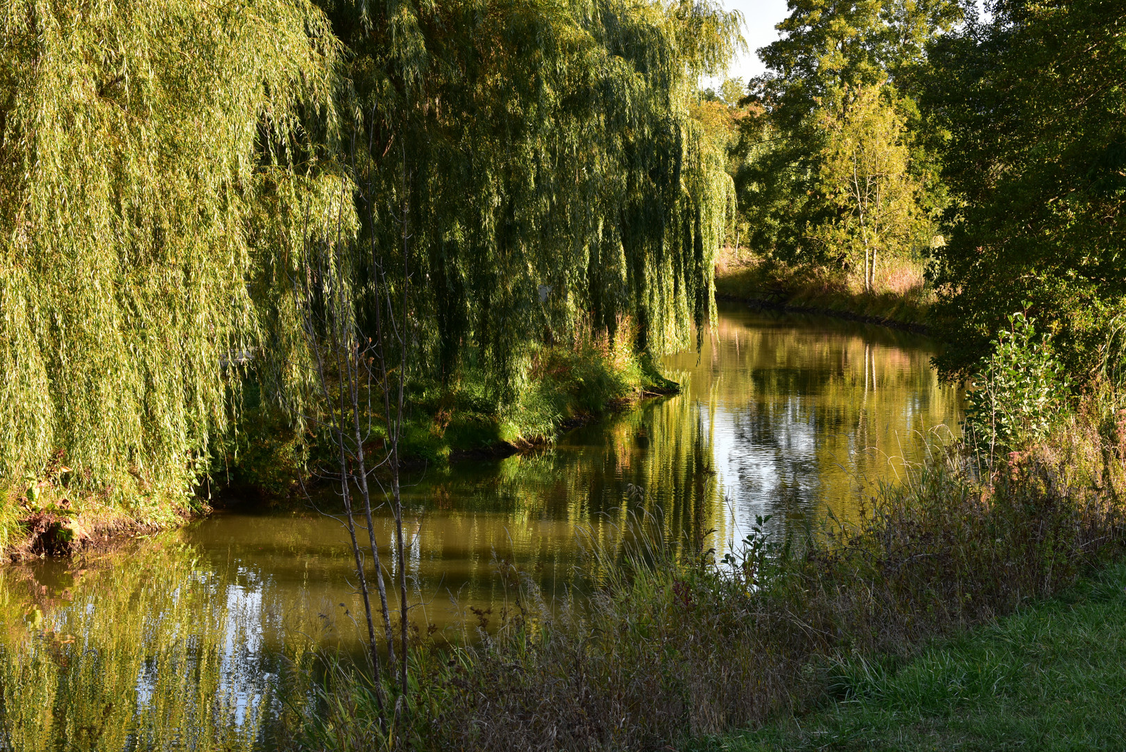 Sommermorgen an der Altmühl