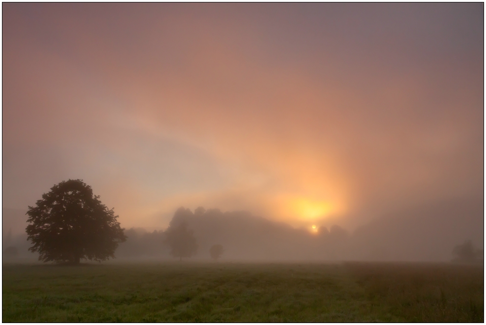 Sommermorgen an der Eder