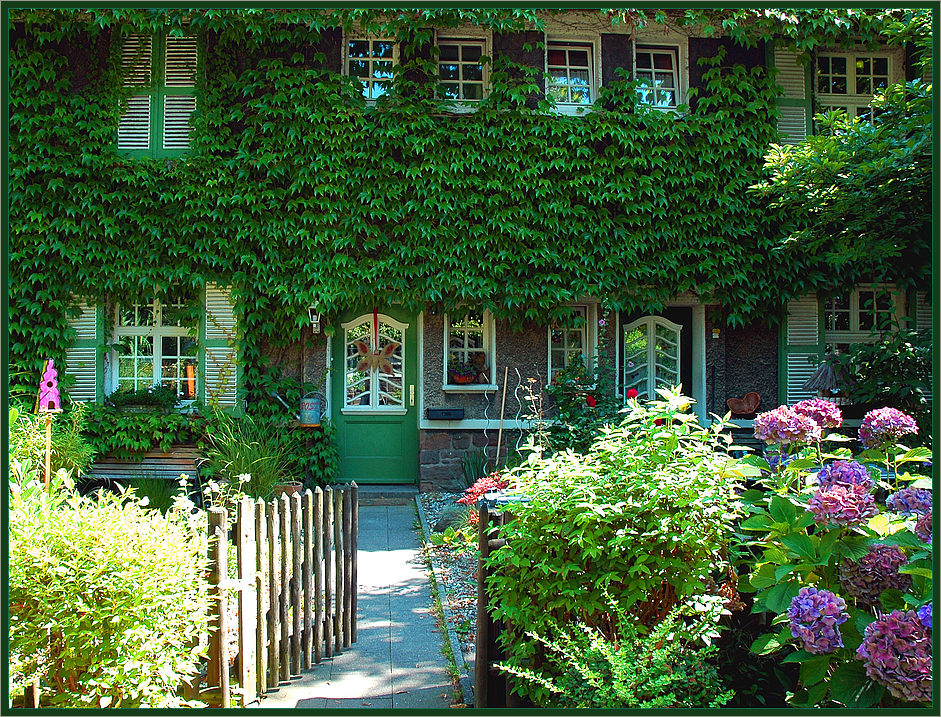 Sommermorgen auf der Margarethenhöhe