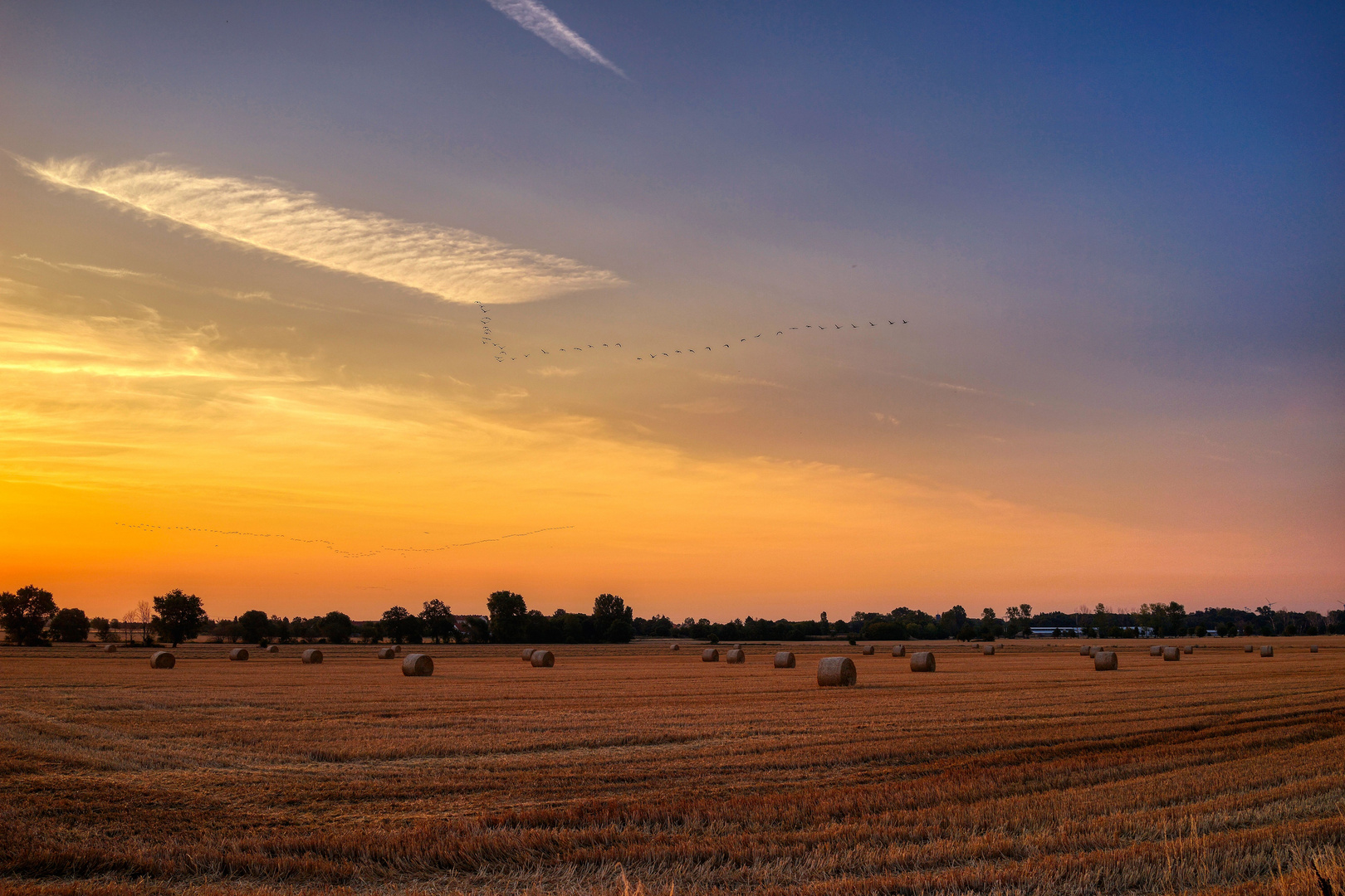 Sommermorgen ....