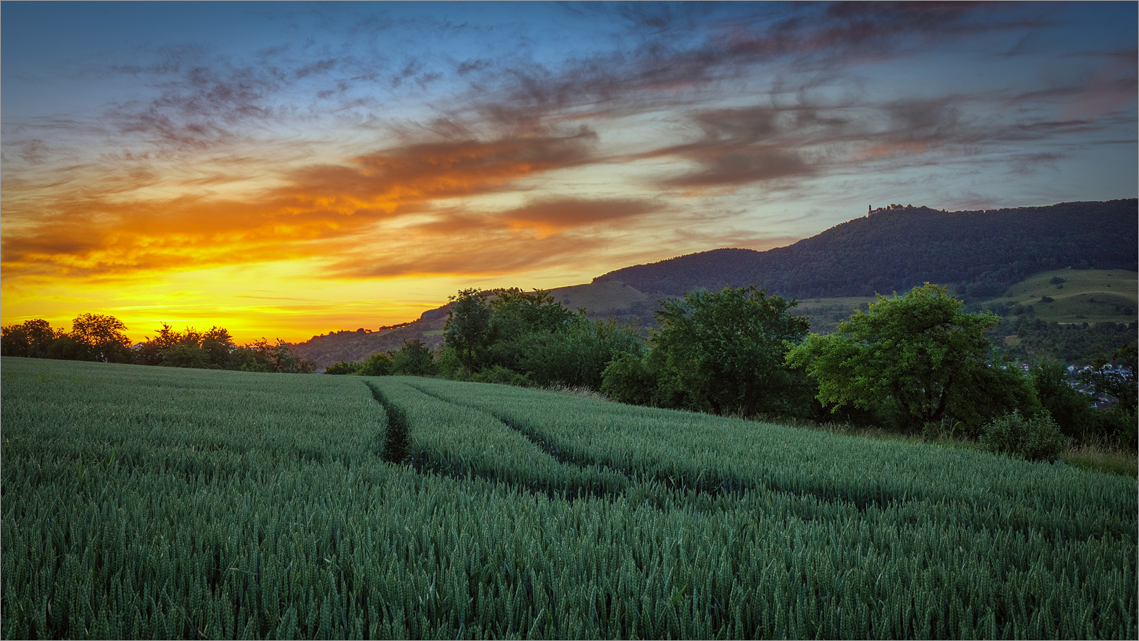 Sommermorgen 