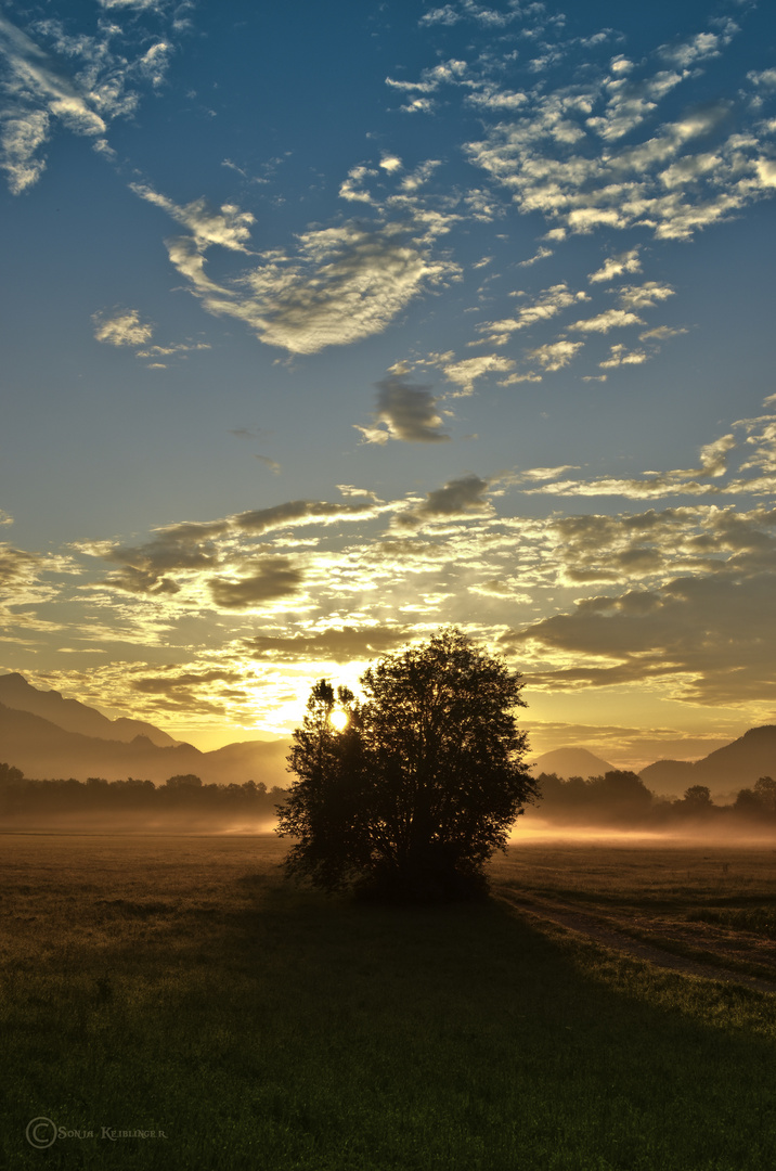 Sommermorgen