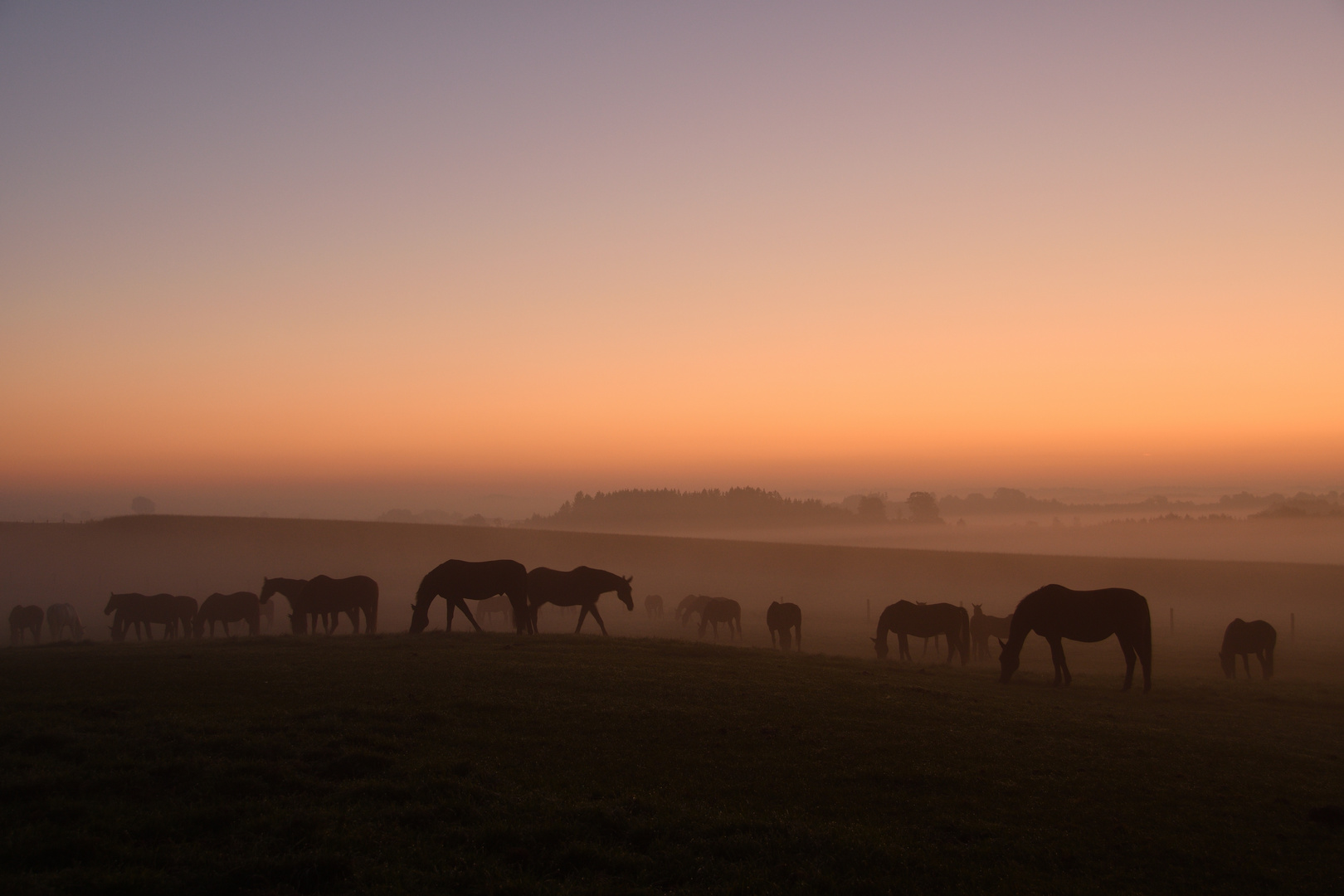 Sommermorgen