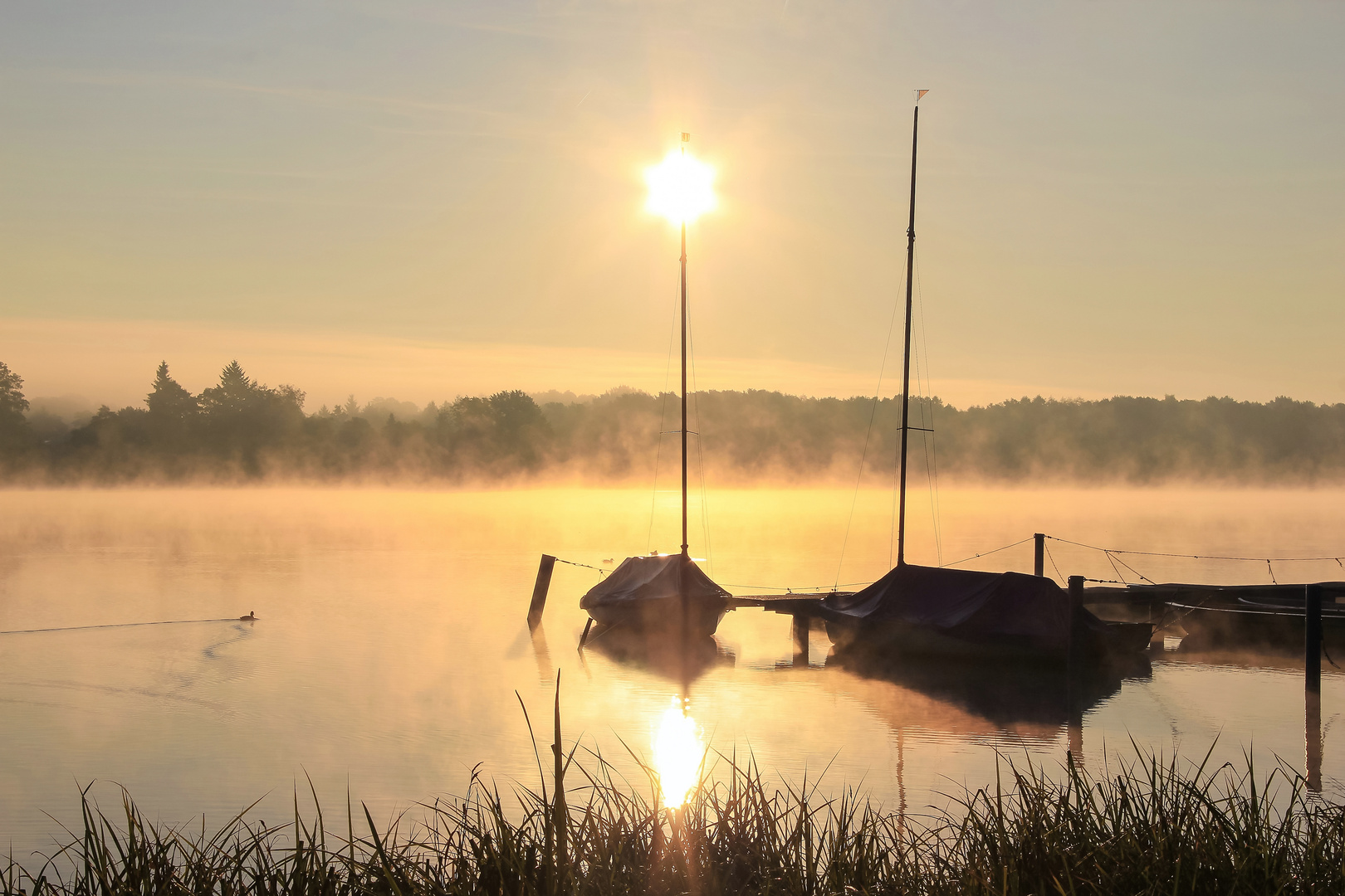 Sommermorgen **