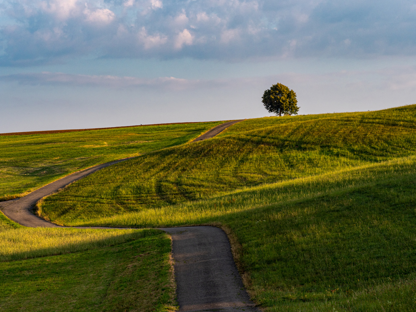 Sommermorgen