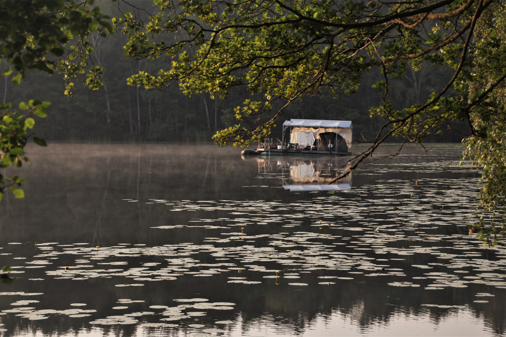 Sommermorgen