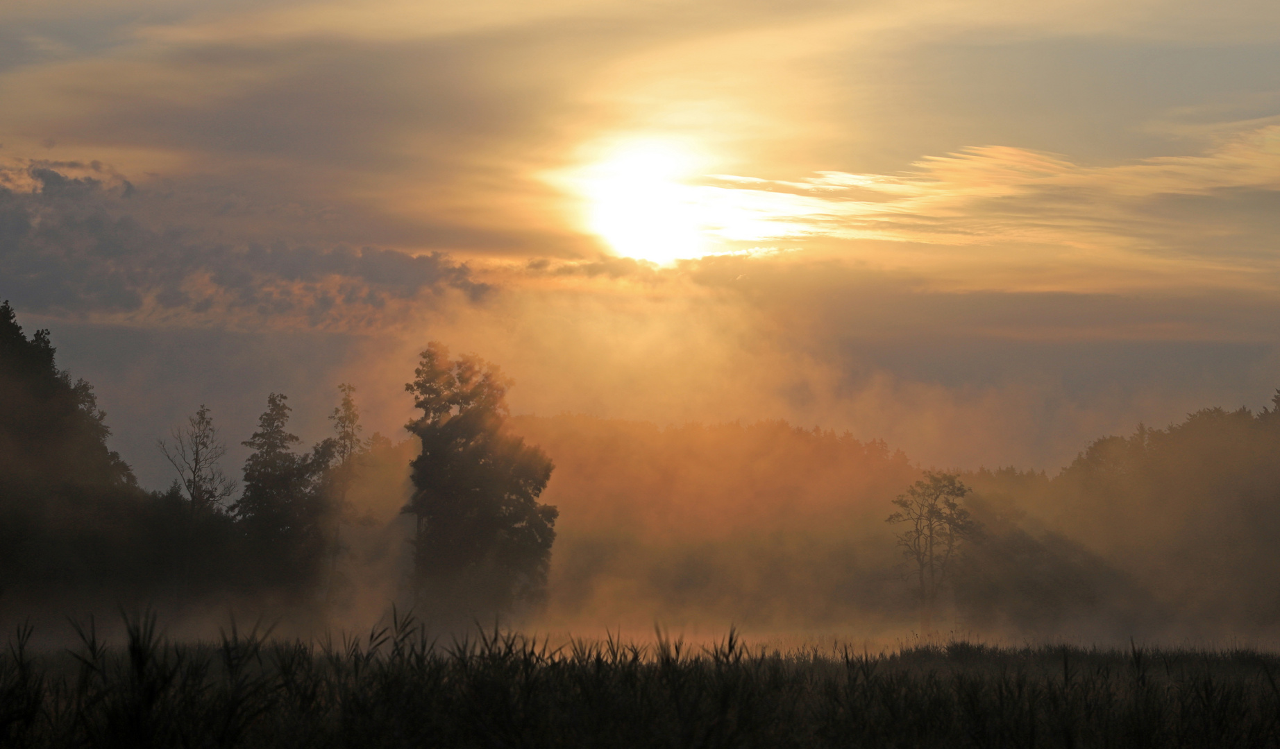 Sommermorgen