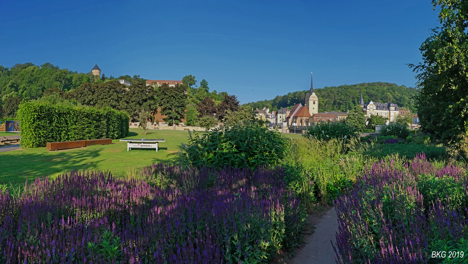 Sommermorgen Hofwiesenpark Gera