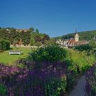 Sommermorgen Hofwiesenpark Gera