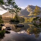 Sommermorgen im Berchtesgadener Land