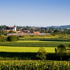 Sommermorgen im Elsaß