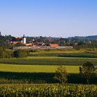 Sommermorgen im Elsaß