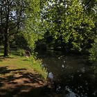 Sommermorgen im Park