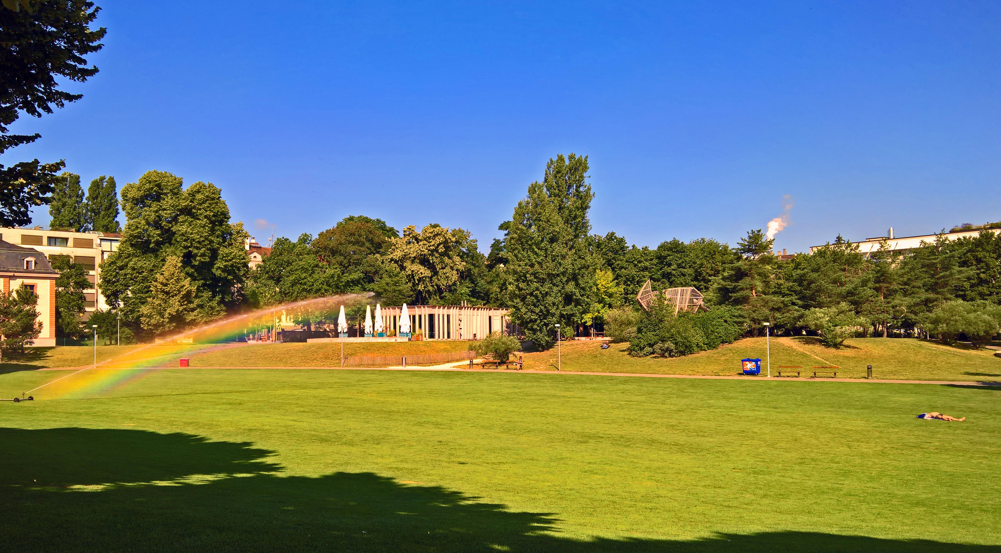 Sommermorgen im Park