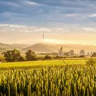 Sommermorgen im Saaletal nach Gewitternacht