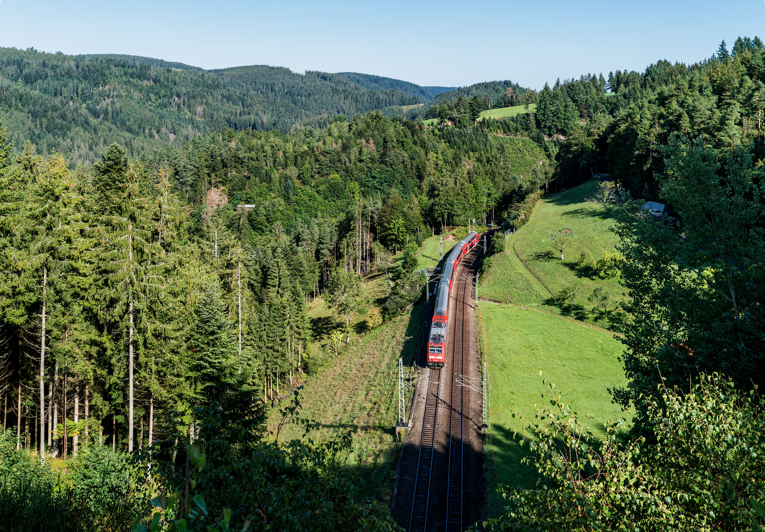 Sommermorgen im Schwarzwald