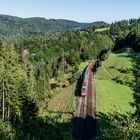 Sommermorgen im Schwarzwald