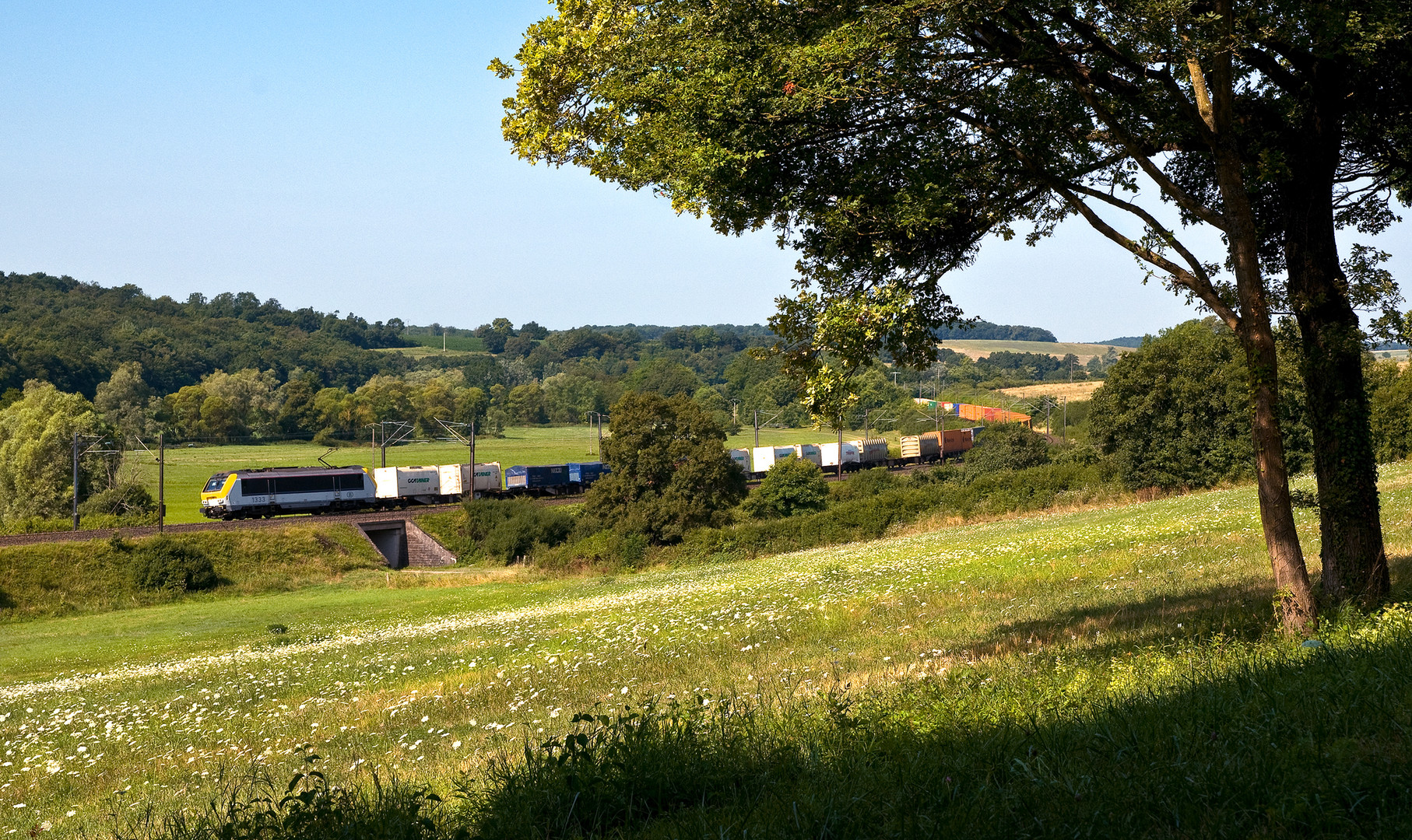 Sommermorgen in Lothringen