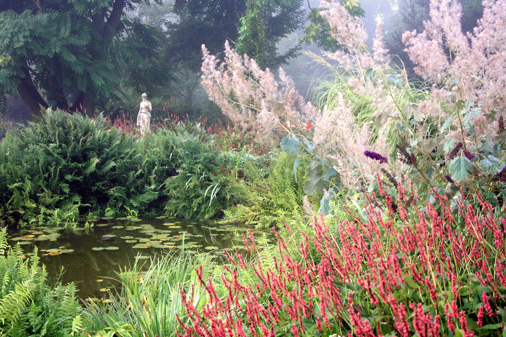 Sommermorgen in meinem Garten