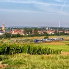 Sommermorgen in Rheinhessen