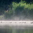 Sommermorgen kurz vor acht