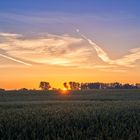 Sommermorgen mit Engel in Schenkendorf