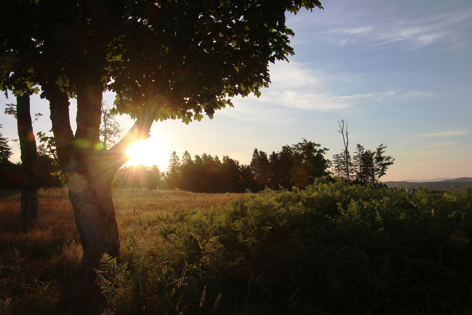 Sommermorgen Teil 2