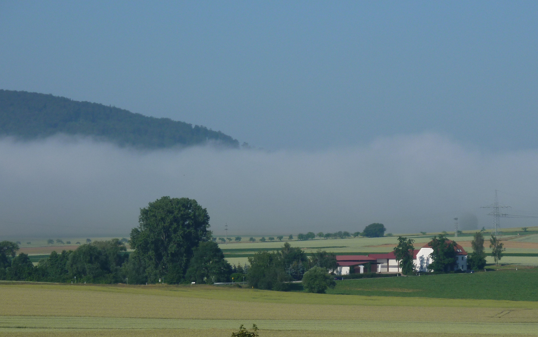 Sommermorgennebel